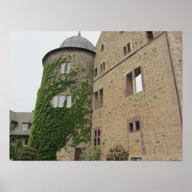 Pôster Castelo da Bela Dormindo (Frente)