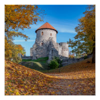 Castelo medieval cercado por floresta