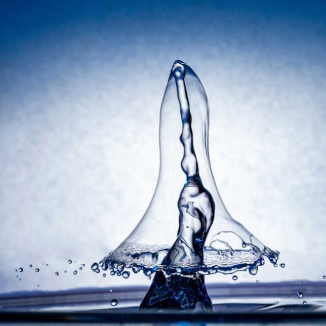 Pôster Castle in a Teacup – A Fantasy World in Miniature (Criador carregado)