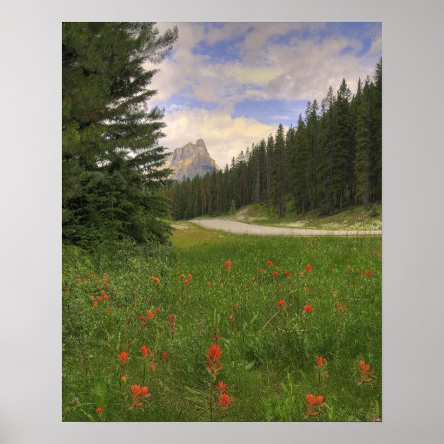 Pôster Castle Mountain Banff (Frente)