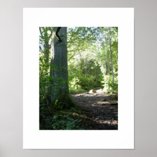 Poster Castlehead Wood: Keswick