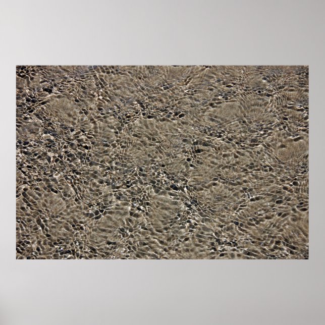 Poster Castlepoint (Frente)