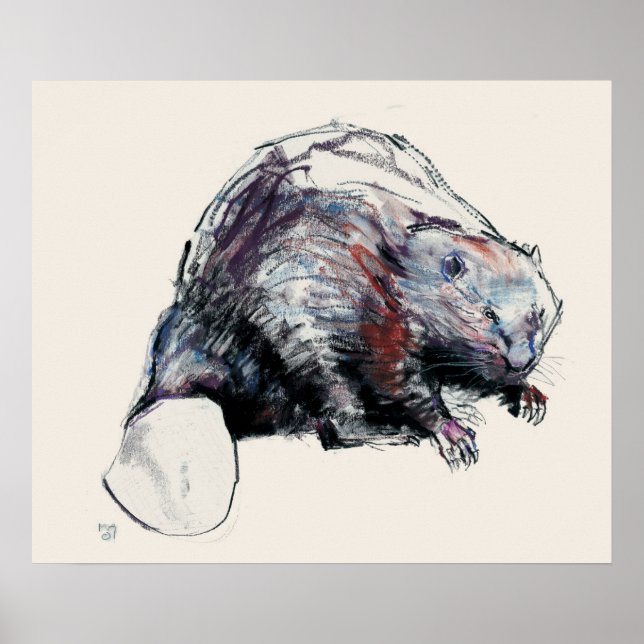 Pôster Castor Fiber 2001 (Frente)