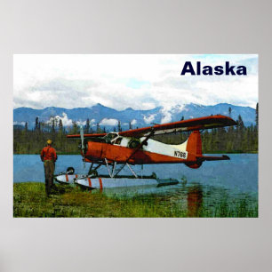 Pôster Castor Floatplane de de Havilland