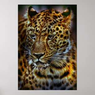 PÔSTER CAT-301154 FOTOGRAFIA ANIMAL LEOPARD DE GATO SELVA