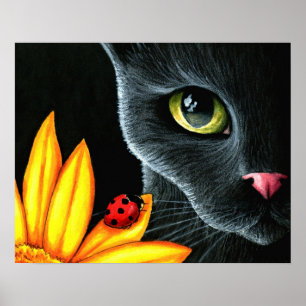 Poster Cat 510