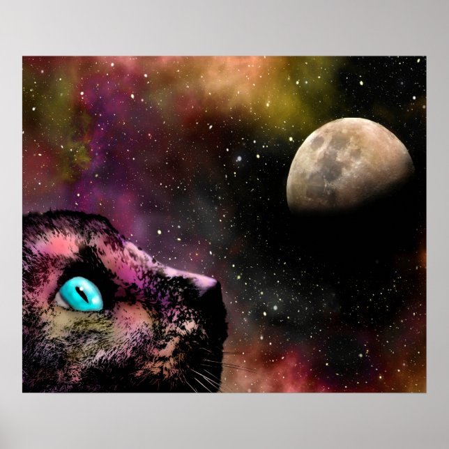 Poster Cat 619 (Frente)