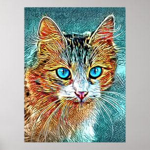 Poster Cat 685 Laranja Turquesa