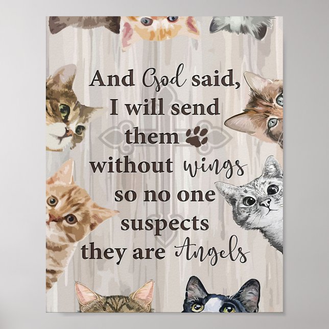 Poster Cat Aover Deus Me Envia Gatos (Frente)
