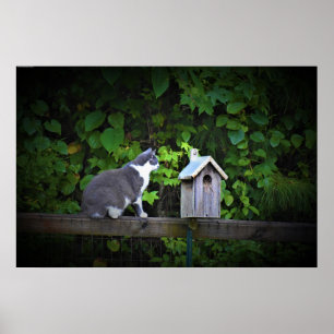 Poster Cat & Birdhouse, 