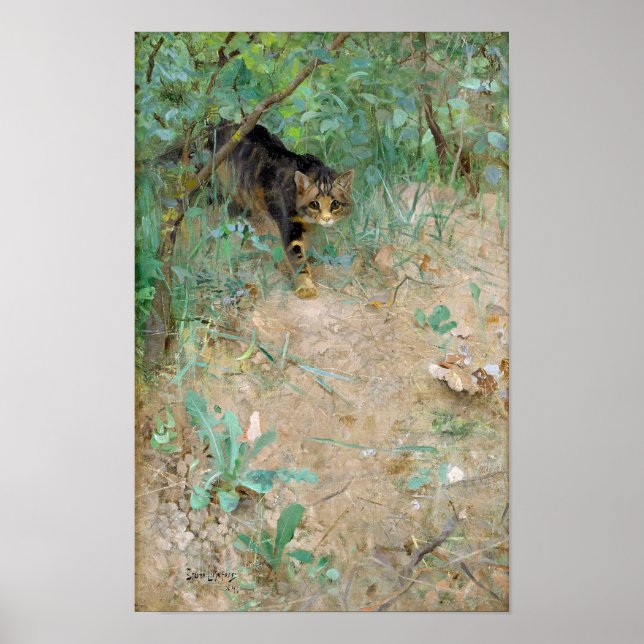 Pôster Cat, Bruno Liljefors (Frente)