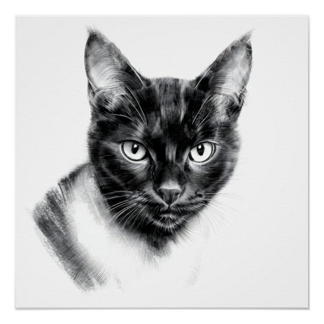 Pôster Cat Charcoal (Frente)