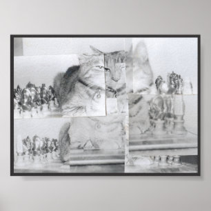 Pôster Cat Chess