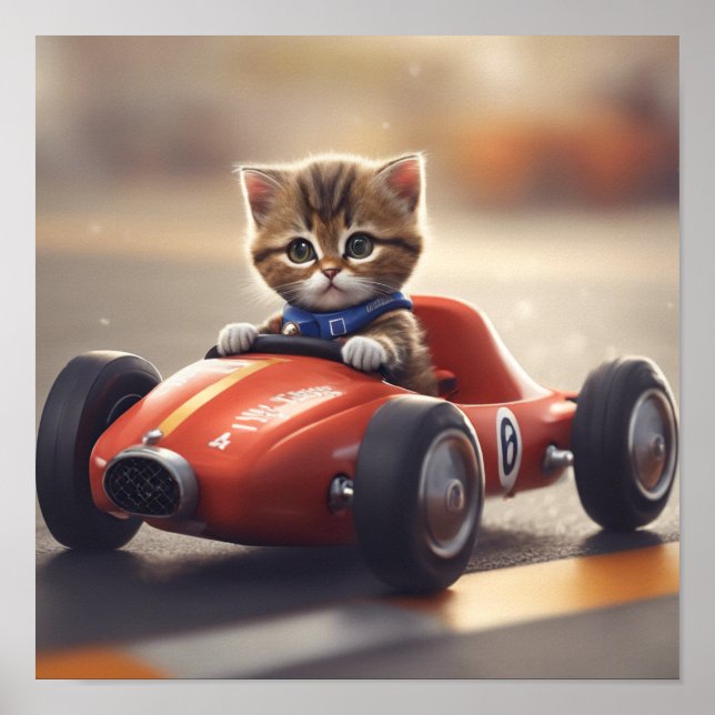 Poster Cat dirigindo um carro de corrida (Frente)
