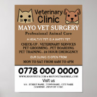 Cat & Dog, veterinário, veterinário e veterinário