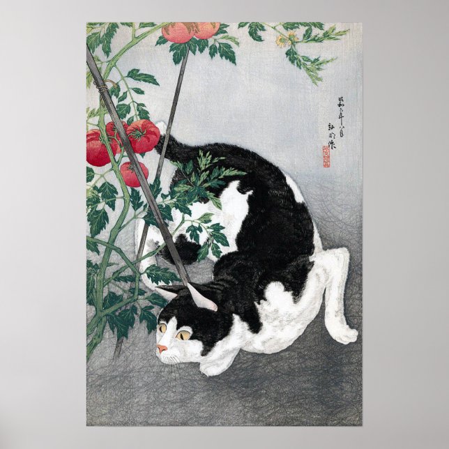 Poster Cat e Tomato, Takahashi Shotei (Frente)