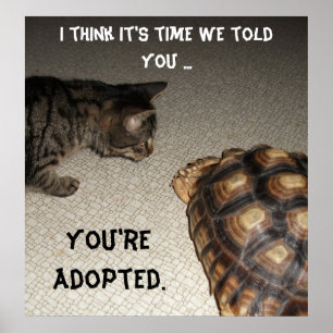 Poster Cat e Tortoise - "Você é Adotado"