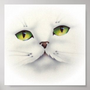 Pôster cat face