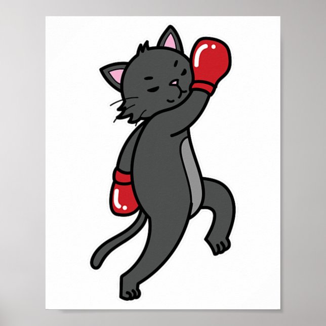 Poster Cat faz boxing (Frente)
