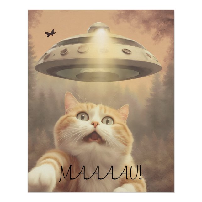 Pôster Cat I Believe UFO Wall Poster Art (Frente)