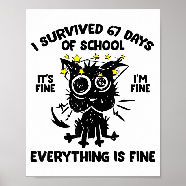 Poster Cat I Survived 67 Days Of School Teachers Students (Frente)
