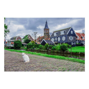 Pôster Cat in traditional fishing village