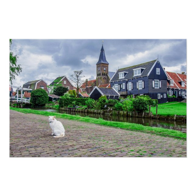 Pôster Cat in traditional fishing village (Frente)