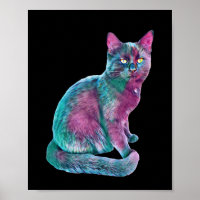 Cat Kitten Cute Fur Nose Funny Animals