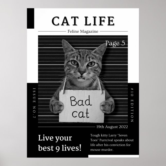 Poster CAT LIFE Magazine (Frente)