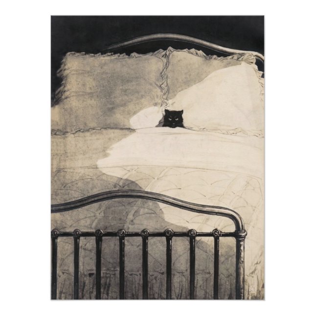 Pôster Cat lying in bed Funny Vintage Print (Frente)