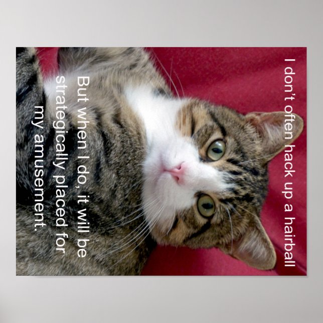 Pôster Cat Meme (Frente)