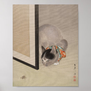 Poster Cat Observando uma aranha Oide Tōkō