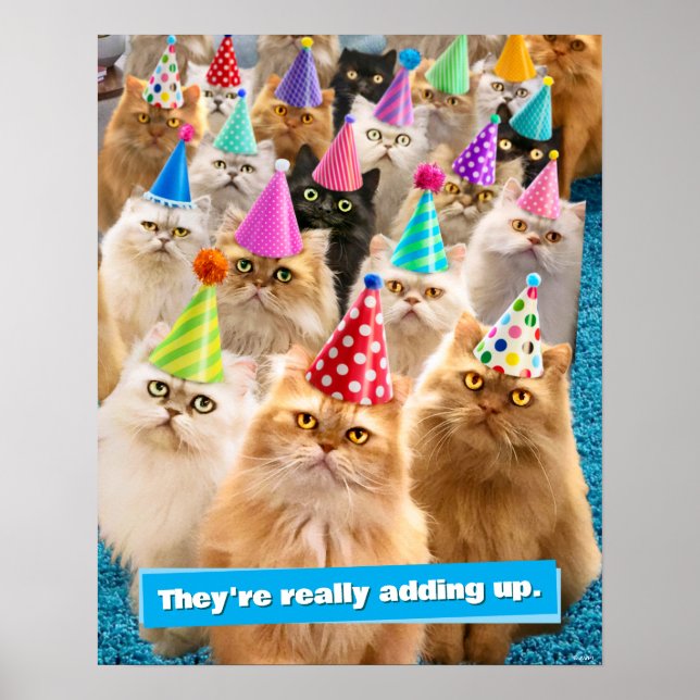 Poster Cat Party (Frente)