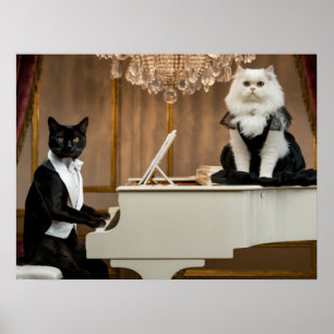 Poster Cat Piano Lounge Act