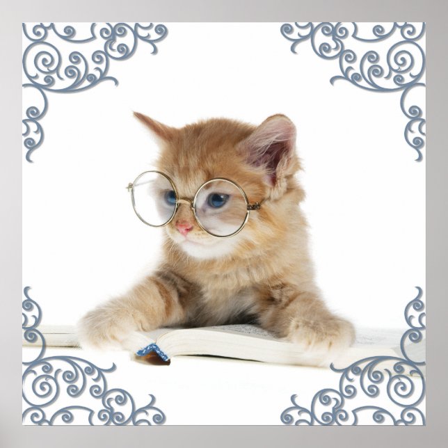 Pôster Cat Scholar (Frente)