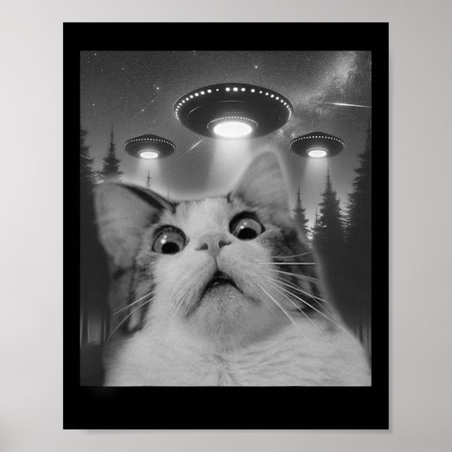 Poster Cat Selfie Com Ufos (Frente)