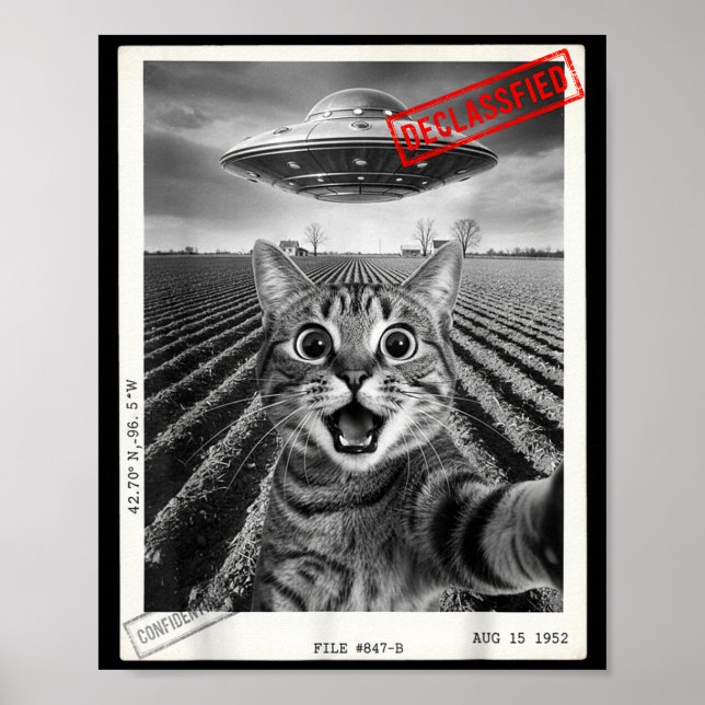 Poster Cat Selfie Ufo Alien Funny Surprised Cat Meme Men  (Frente)