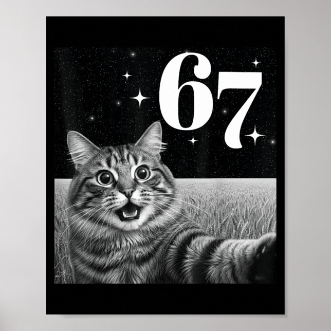 Poster Cat Selfie With 67 Meme Funny Cats Graphic For Men (Frente)