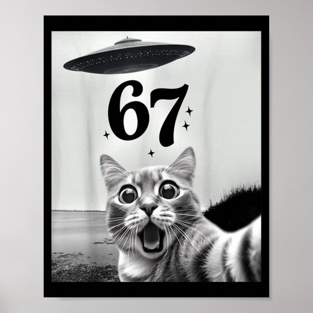 Poster Cat Selfie With Alien Ufo And 67 Funny 6 7 For Men (Frente)