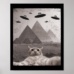 Poster Cat Ufo Meme - Gato Engraçado Selfie Com Ufos
