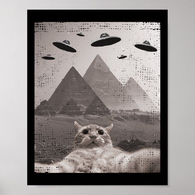 Poster Cat Ufo Meme - Gato Engraçado Selfie Com Ufos (Frente)