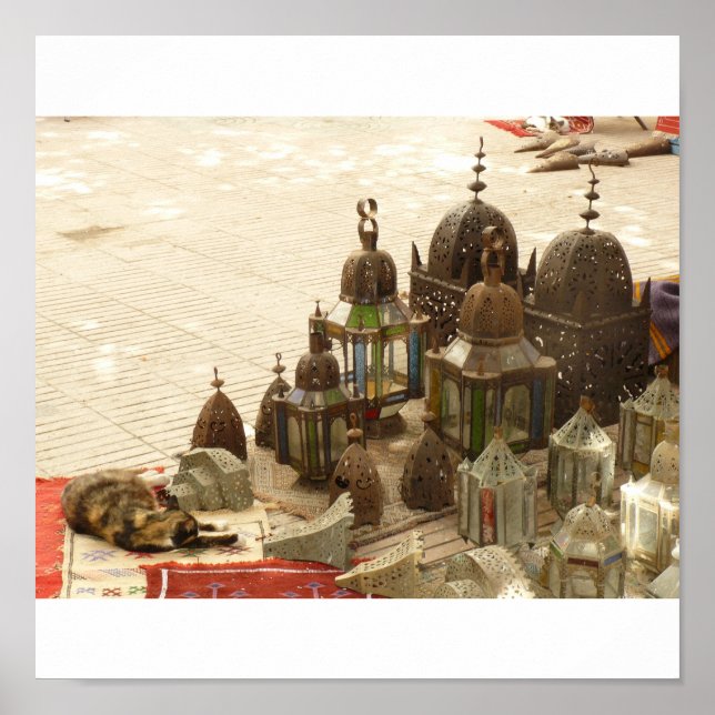 Pôster Cat Vs Lanterna (Frente)