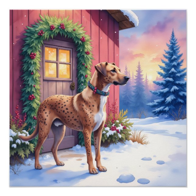 Pôster Catahoula Leopard Dog Rustic Barn Christmas Art (Frente)