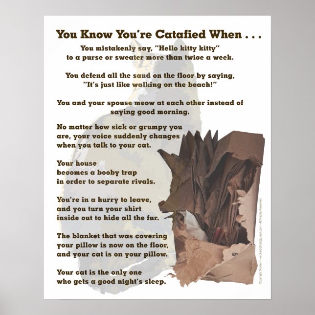 Poster Catalisado. Só um amante de gatos entenderia. (Frente)