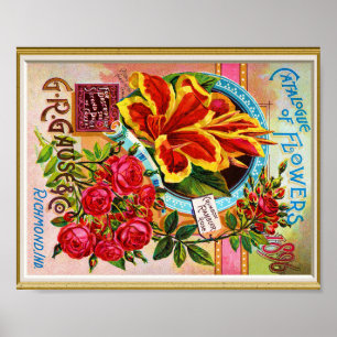 Poster Catálogo de Cobrir de Sementes 1896 Richmond Indi