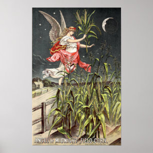 Pôster Catálogo de semente da imagem do vintage desde