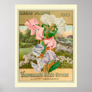 Poster Catálogo Vintage Chicago Gardening Flower Seeds