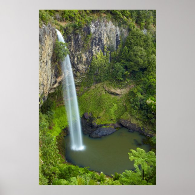 Pôster Cataratas Bridal Veil, Nova Zelândia (Frente)