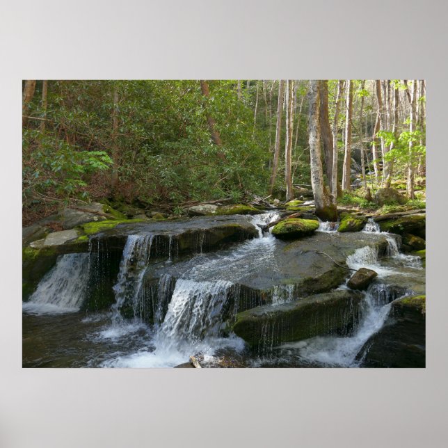 Poster Cataratas de Findlay II (Frente)