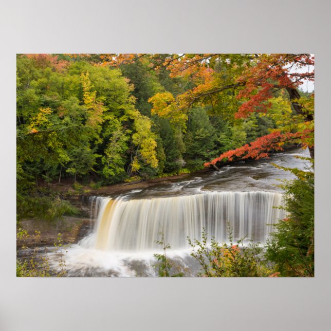 Poster Cataratas de Tahquamenon no Outono (Frente)